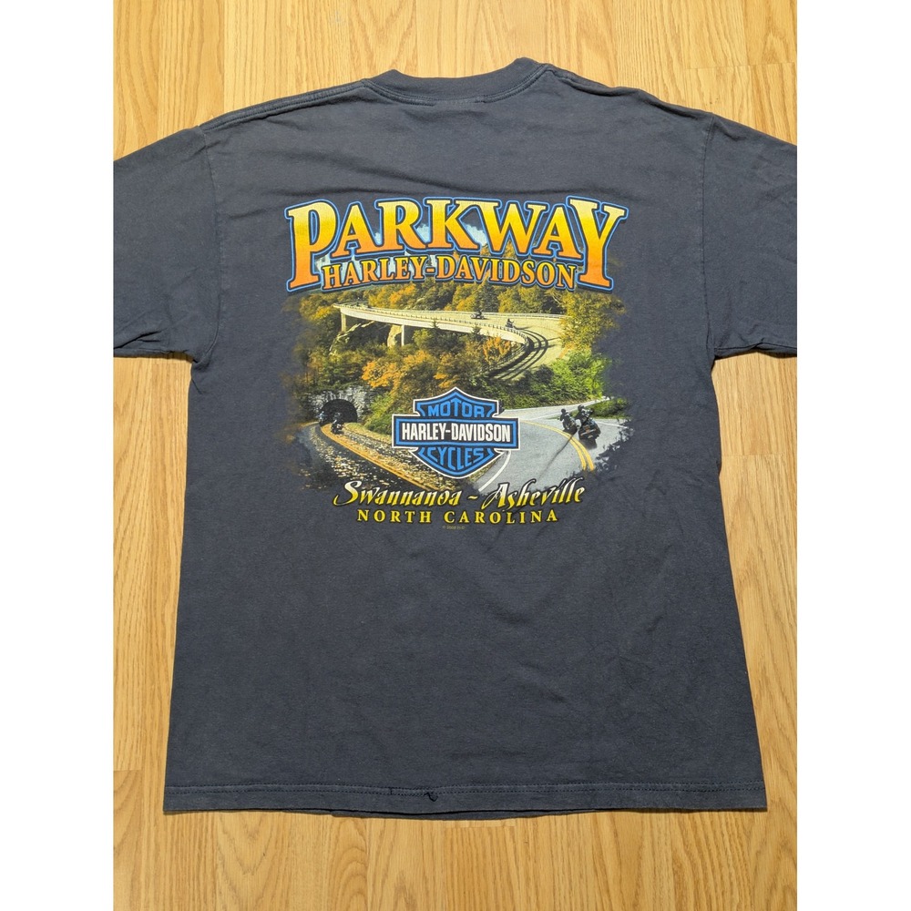 Harley Davidson Mens Parkway Asheville NC Eagle Graphic T-Shirt Medium